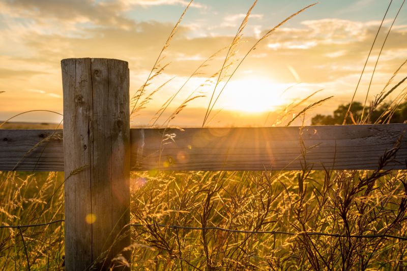 Summer Fence Installation